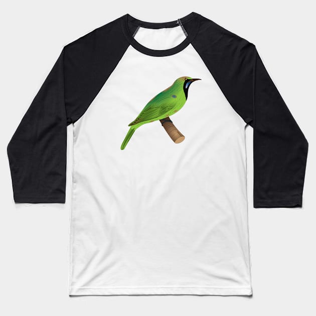 Common Green Bulbul Baseball T-Shirt by OrangeEdenDesigns